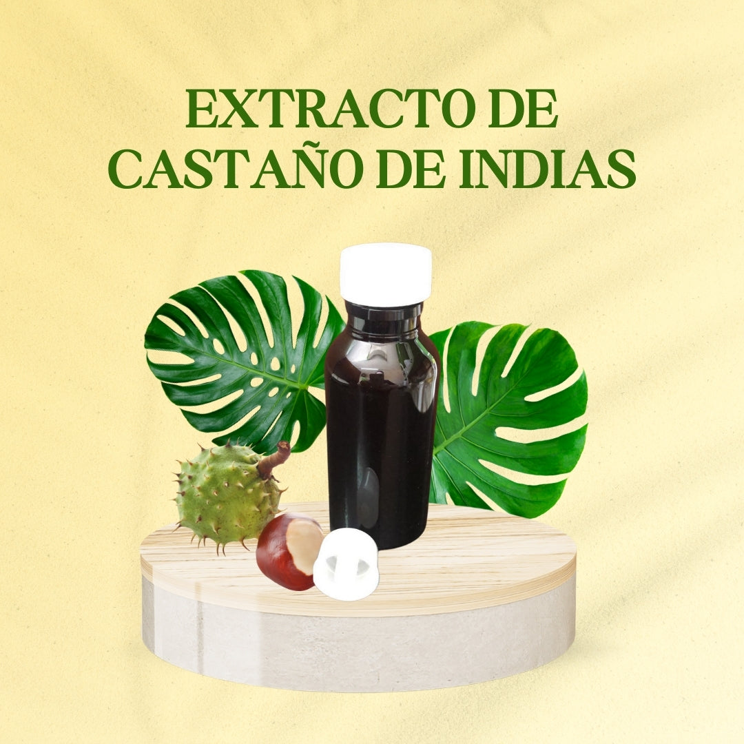 Castaño de indias