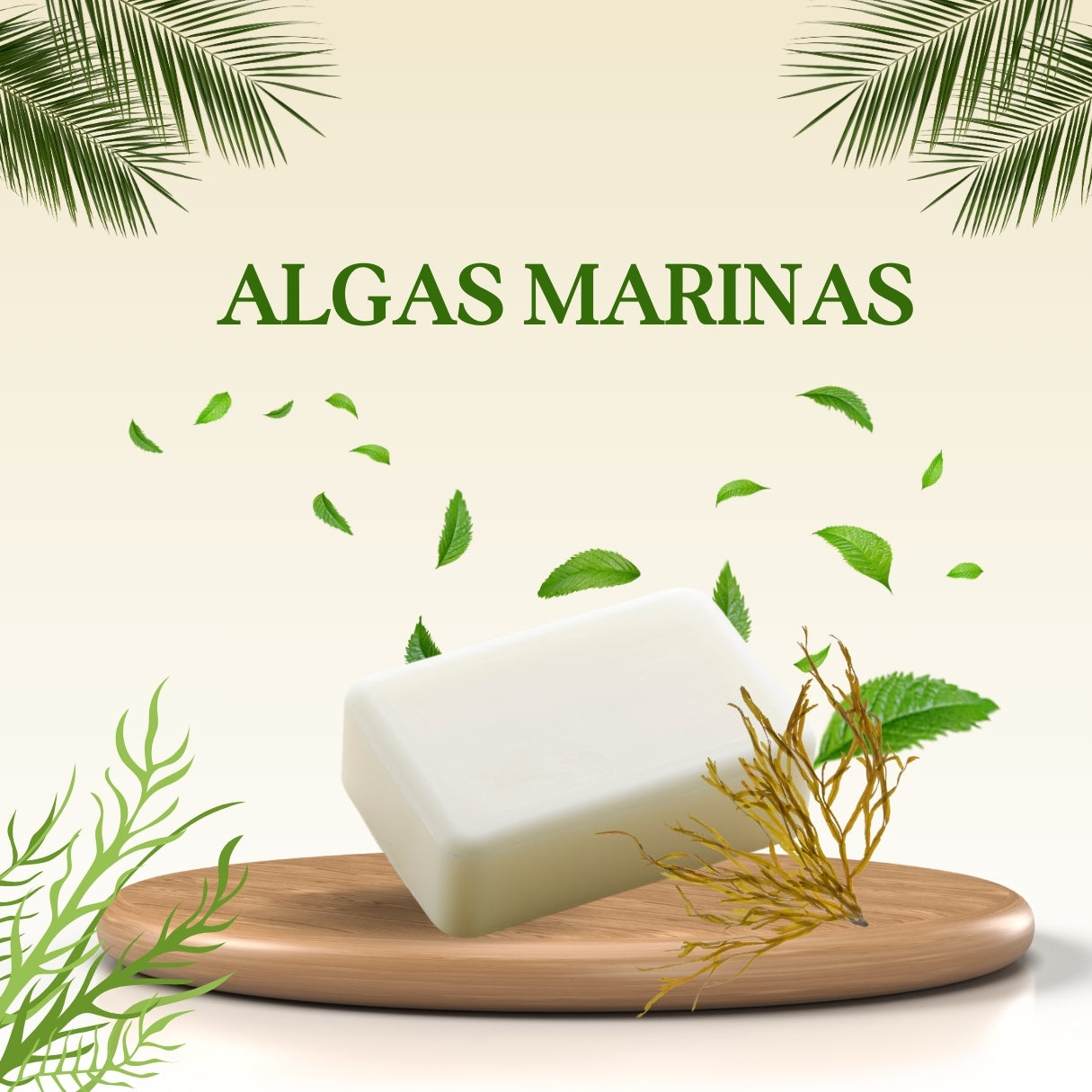 Algas marinas