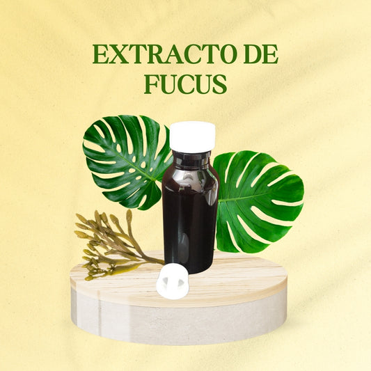 Fucus