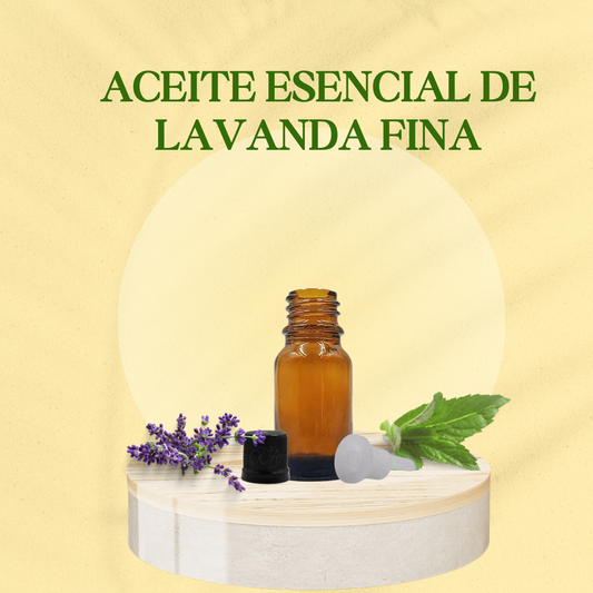 Lavanda fina