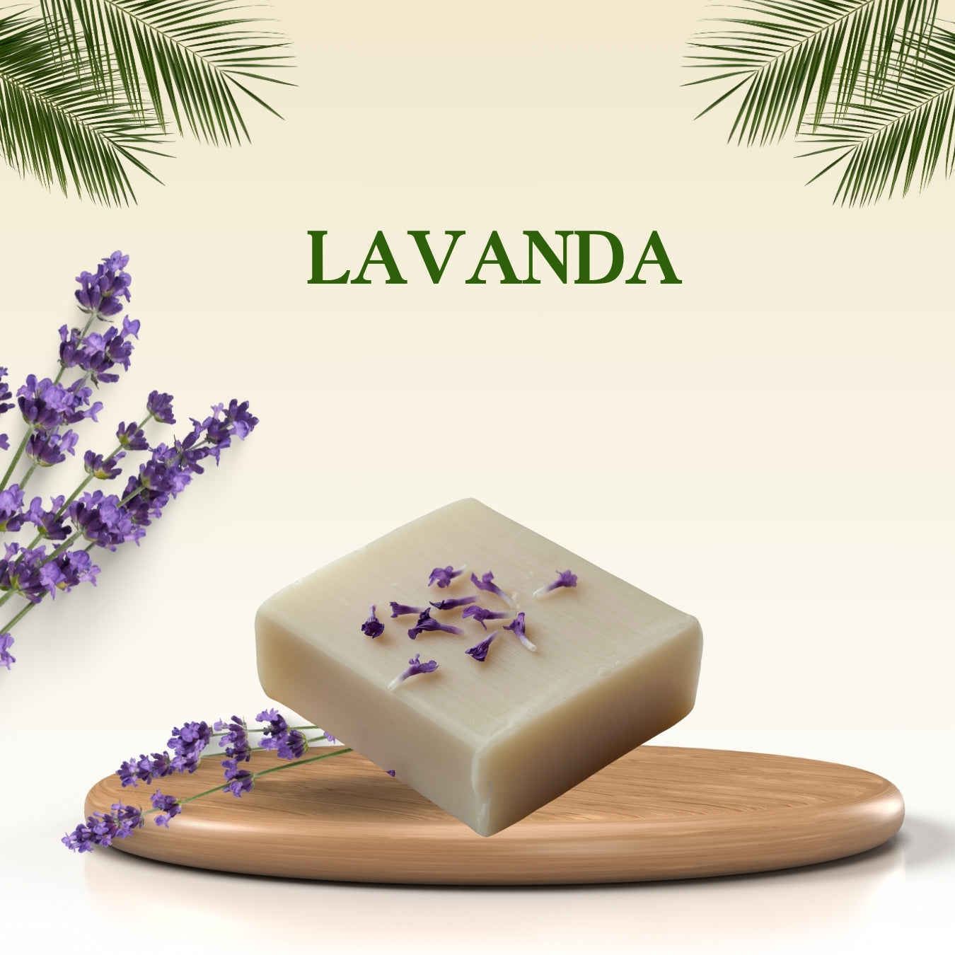 Lavanda