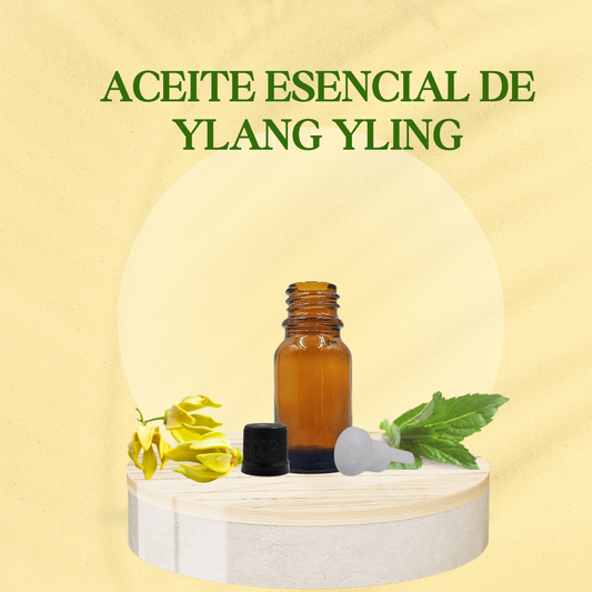 Ylang Ylang