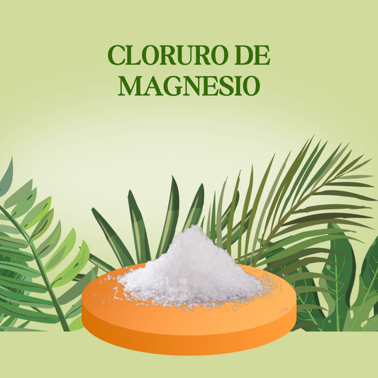 Cloruro de magnesio