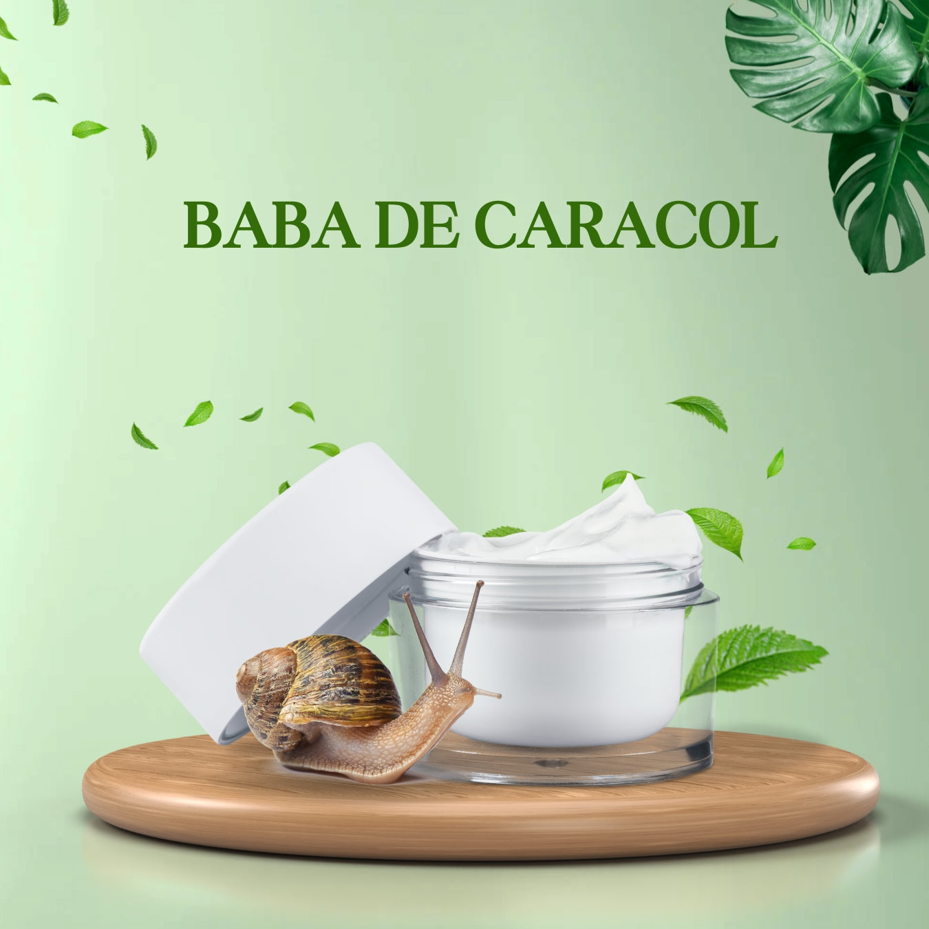 Baba de caracol