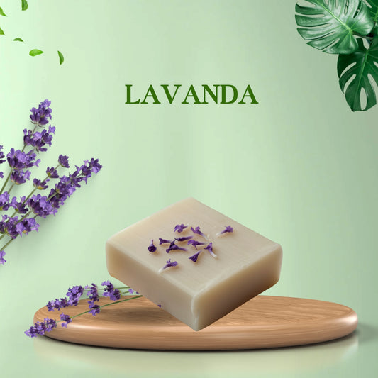 Lavanda