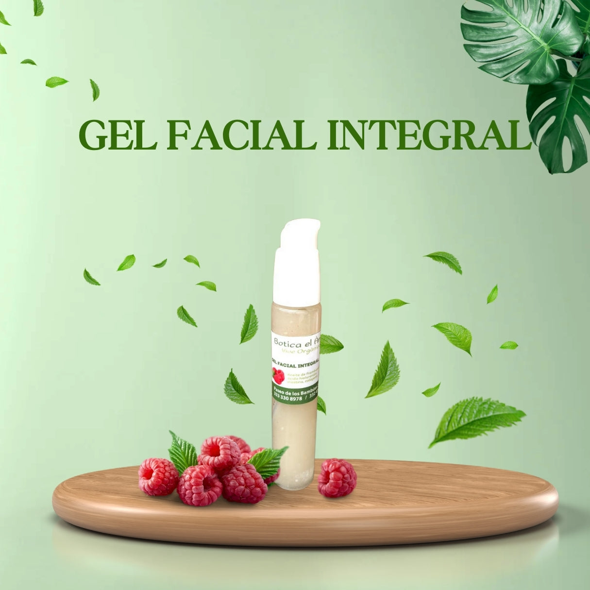 Gel facial integral